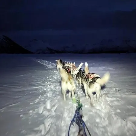 Affittacamere Arctic Ocean