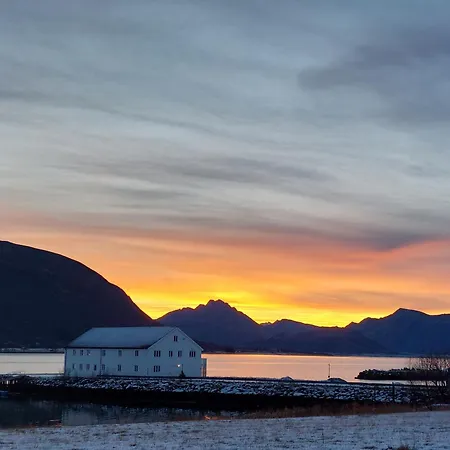 Arctic Ocean Skjoldehamn