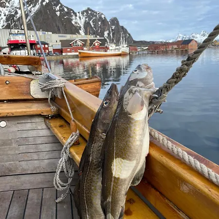 Arctic Ocean Affittacamere