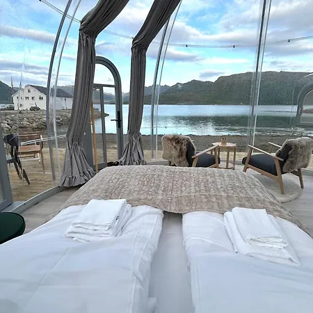 Arctic Ocean Pensión *