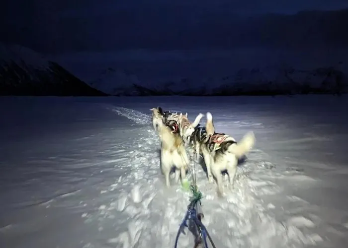 Pensjonat Arctic Ocean