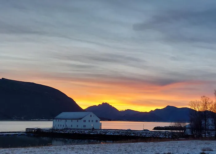 Arctic Ocean Skjoldehamn