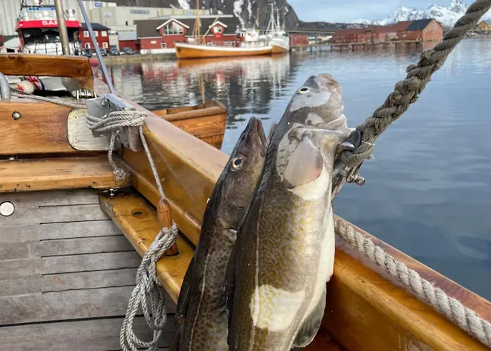 Arctic Ocean Pensjonat