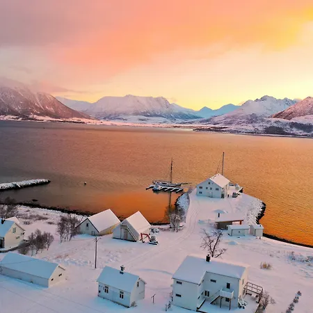 Arctic Ocean *